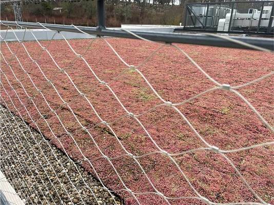 ভবন রক্ষার জন্য ৬০° জাল মুখ এবং গ্যালভানাইজড ফিনিশ সহ পালিশ করা নরম স্টেইনলেস স্টিল রোপ তারের জাল