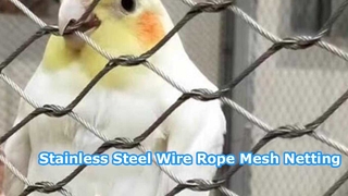 কিভাবে উপযুক্ত স্টেইনলেস স্টীল ফেরুল দড়ি জাল নির্বাচন করবেন?