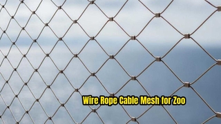 স্টেইনলেস স্টীল 316 চিড়িয়াখানা পাখি পাখি জাল আবেদন