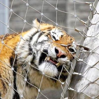 স্টেইনলেস স্টিল চিড়িয়াখানা জাল বেড়া উচ্চ শক্তি তারের দড়ি জাল