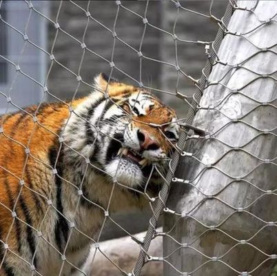 লাইটওয়েট উচ্চ শক্তি 304 316 স্টেইনলেস স্টীল তারের দড়ি জাল জন্য চিড়িয়াখানা বেড়া