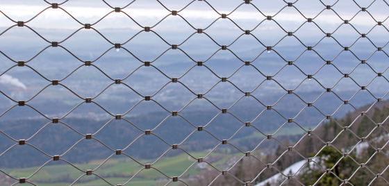 স্থাপত্যের জন্য স্টেইনলেস স্টিলের তারের দড়ি জাল, হীরা নমনীয় পর্দা, চিড়িয়াখানার পশু এনক্লোজার নিরাপদ