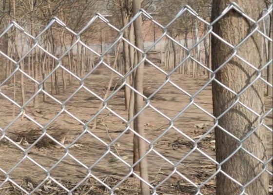 4.8mm গ্যালভানাইজড চেইন লিঙ্ক বেড়া 50m রোল ডায়মন্ড গর্ত জাল