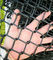 পিভিসি প্রলিপ্ত কালো গ্যালভানাইজড চেইন লিঙ্ক বেড়া ডায়মন্ড আকৃতির তারের জাল ক্রীড়া ক্ষেত্র